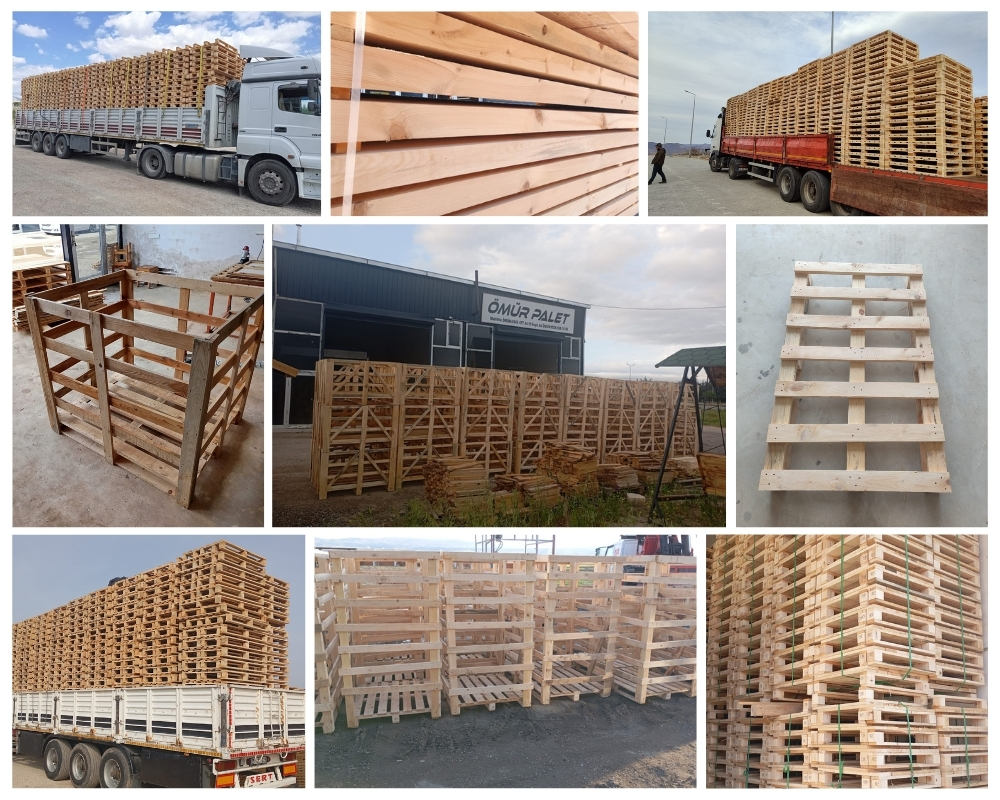 Dawlish Wooden Pallets, Buy Wooden Pallets Wholesale